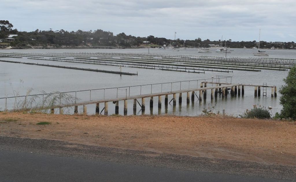 Science showed aquaculture was the most productive agriculture system, and a sustainable sector. Science showed aquaculture was the most productive agriculture system, and a sustainable sector.